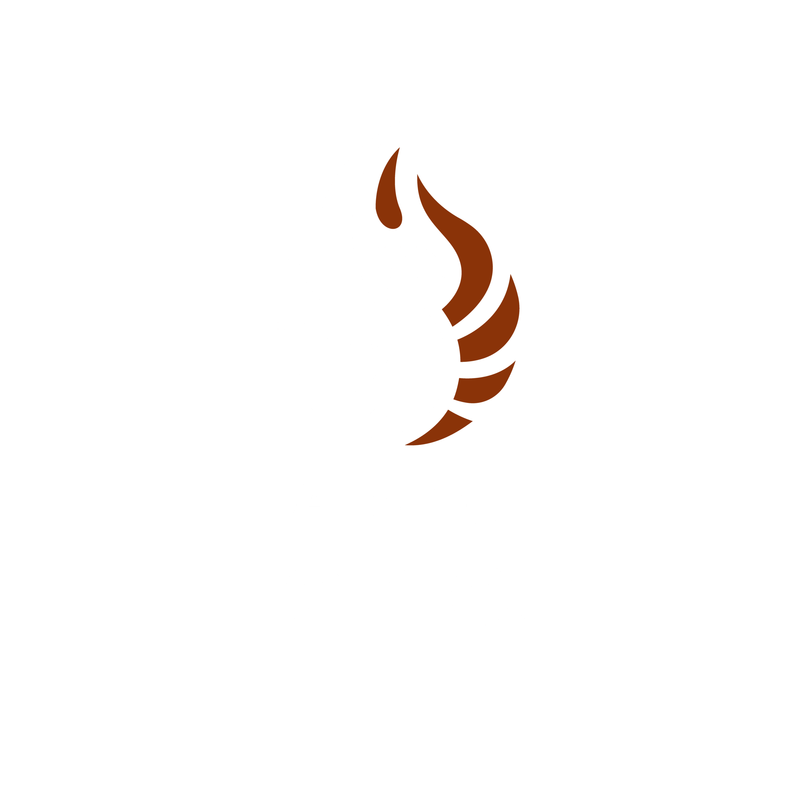 araba fenice logo-negativo
